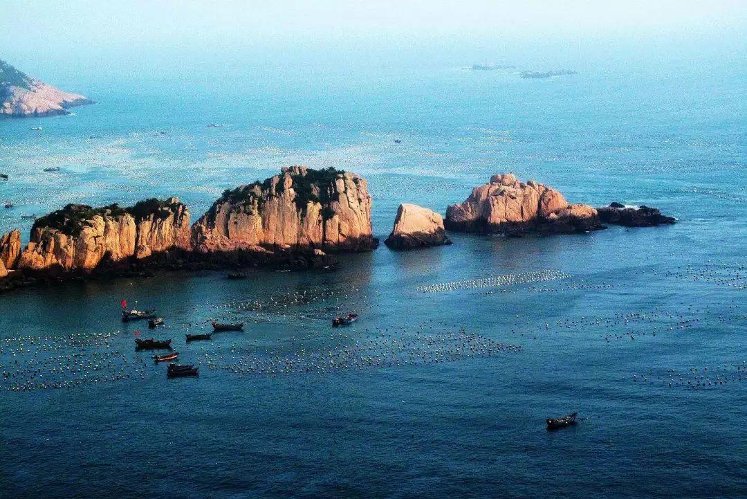 宋朝神童层出不穷，为什么到了宋代以后，中央政府开始打压神童？